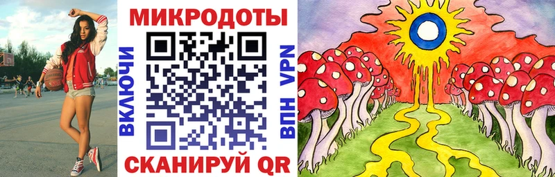 Купить закладки  Нестеровская  Галлюциногенные грибы мицелий 