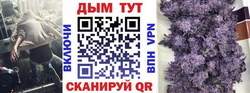 Каннабис OG Kush  Купить где  Нестеровская 